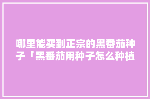 哪里能买到正宗的黑番茄种子「黑番茄用种子怎么种植视频」 哪里能买到正宗的黑番茄种子「黑番茄用种子怎么种植视频」 番茄病虫害防治
