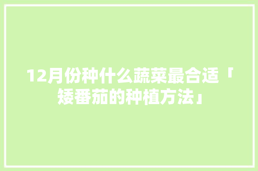 12月份种什么蔬菜最合适「矮番茄的种植方法」 12月份种什么蔬菜最合适「矮番茄的种植方法」 花朵知识