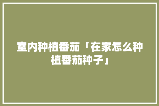 室内种植番茄「在家怎么种植番茄种子」 室内种植番茄「在家怎么种植番茄种子」 植物种类