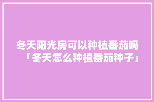 冬天阳光房可以种植番茄吗「冬天怎么种植番茄种子」 冬天阳光房可以种植番茄吗「冬天怎么种植番茄种子」 番茄种植技巧