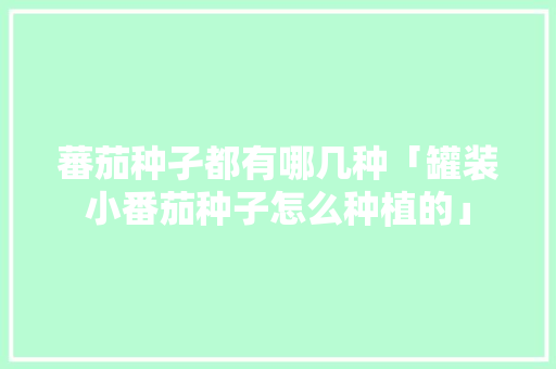 蕃茄种孑都有哪几种「罐装小番茄种子怎么种植的」 蕃茄种孑都有哪几种「罐装小番茄种子怎么种植的」 种植技巧