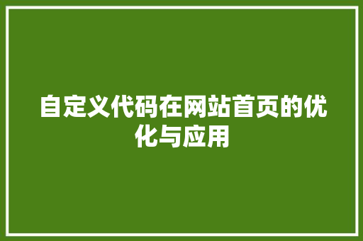 自定义代码在网站首页的优化与应用 花朵知识