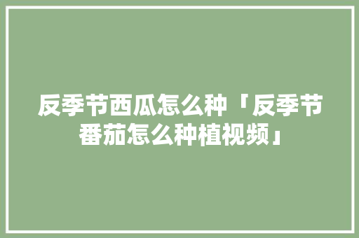 反季节西瓜怎么种「反季节番茄怎么种植视频」 反季节西瓜怎么种「反季节番茄怎么种植视频」 番茄种植技巧