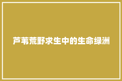 芦苇荒野求生中的生命绿洲
