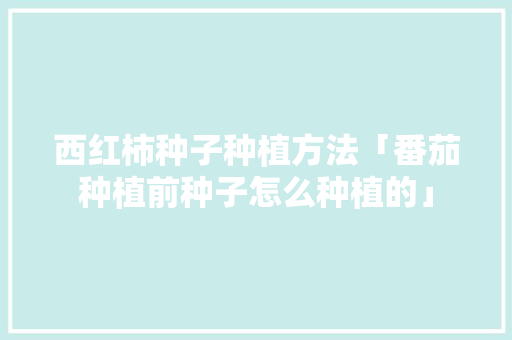 西红柿种子种植方法「番茄种植前种子怎么种植的」 西红柿种子种植方法「番茄种植前种子怎么种植的」 番茄种植技巧