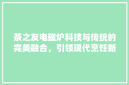 茶之友电磁炉科技与传统的完美融合，引领现代烹饪新潮流