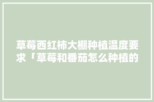 草莓西红柿大棚种植温度要求「草莓和番茄怎么种植的」 草莓西红柿大棚种植温度要求「草莓和番茄怎么种植的」 番茄病虫害防治