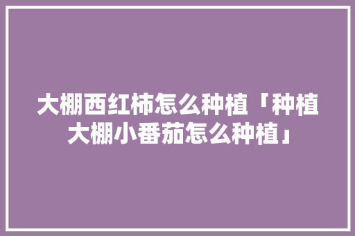 大棚西红柿怎么种植「种植大棚小番茄怎么种植」 大棚西红柿怎么种植「种植大棚小番茄怎么种植」 土壤施肥