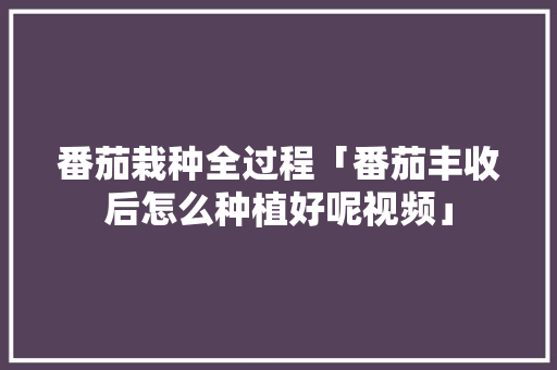 番茄栽种全过程「番茄丰收后怎么种植好呢视频」 番茄栽种全过程「番茄丰收后怎么种植好呢视频」 番茄病虫害防治