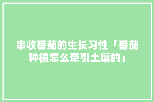 串收番茄的生长习性「番茄种植怎么牵引土壤的」 串收番茄的生长习性「番茄种植怎么牵引土壤的」 种植技巧