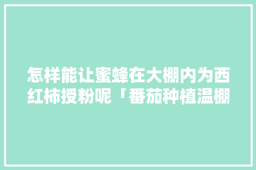 怎样能让蜜蜂在大棚内为西红柿授粉呢「番茄种植温棚怎么搭建好看」