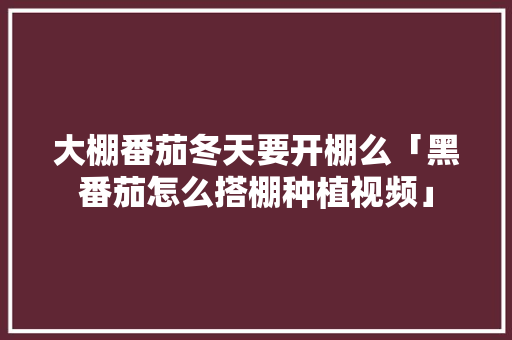 大棚番茄冬天要开棚么「黑番茄怎么搭棚种植视频」 大棚番茄冬天要开棚么「黑番茄怎么搭棚种植视频」 农业常识