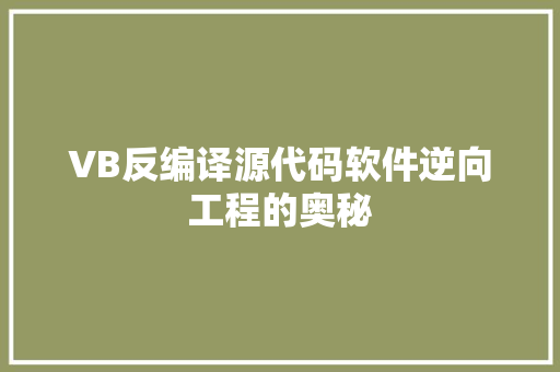VB反编译源代码软件逆向工程的奥秘