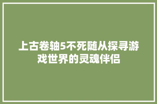 上古卷轴5不死随从探寻游戏世界的灵魂伴侣