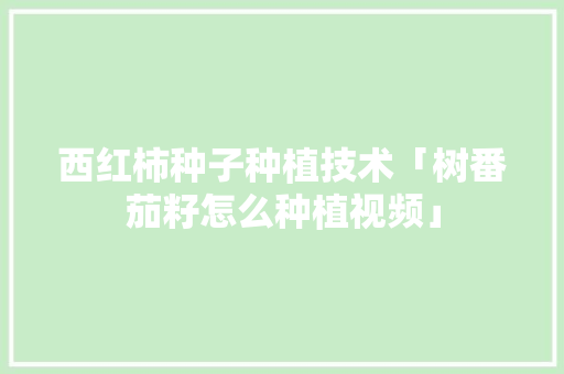 西红柿种子种植技术「树番茄籽怎么种植视频」 西红柿种子种植技术「树番茄籽怎么种植视频」 农业常识