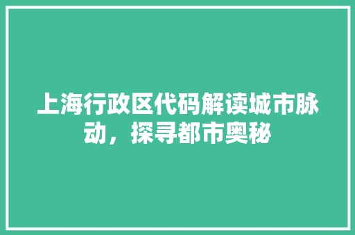 上海行政区代码解读城市脉动，探寻都市奥秘