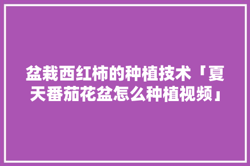 盆栽西红柿的种植技术「夏天番茄花盆怎么种植视频」 盆栽西红柿的种植技术「夏天番茄花盆怎么种植视频」 植物种类