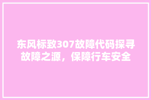 东风标致307故障代码探寻故障之源，保障行车安全 番茄种植技巧
