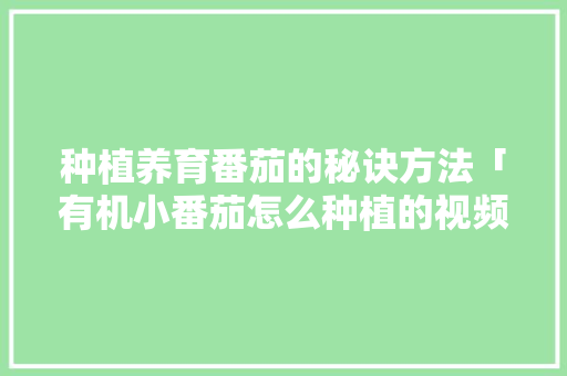 种植养育番茄的秘诀方法「有机小番茄怎么种植的视频」 种植养育番茄的秘诀方法「有机小番茄怎么种植的视频」 番茄病虫害防治