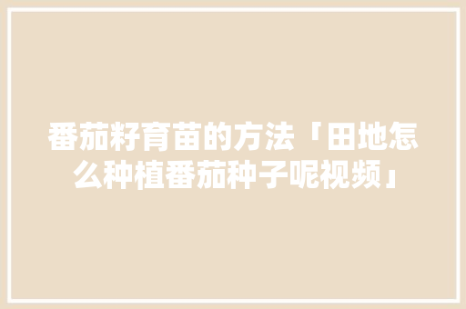 番茄籽育苗的方法「田地怎么种植番茄种子呢视频」 番茄籽育苗的方法「田地怎么种植番茄种子呢视频」 植物种类