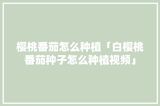樱桃番茄怎么种植「白樱桃番茄种子怎么种植视频」 樱桃番茄怎么种植「白樱桃番茄种子怎么种植视频」 番茄病虫害防治