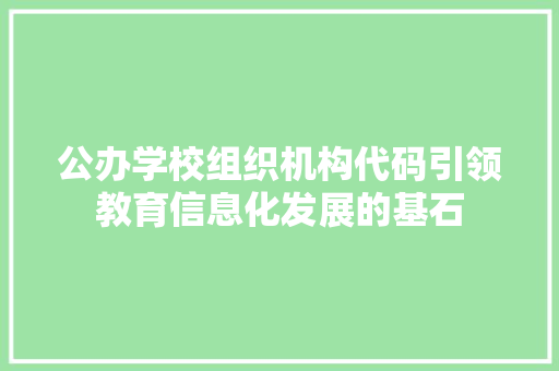 公办学校组织机构代码引领教育信息化发展的基石