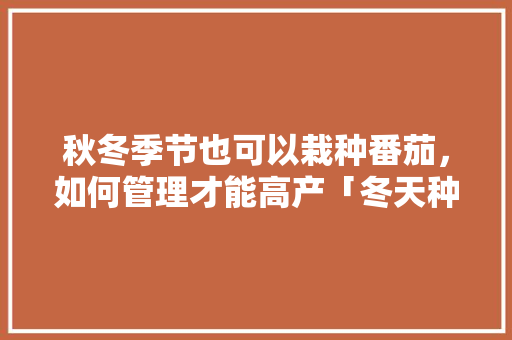 秋冬季节也可以栽种番茄，如何管理才能高产「冬天种植番茄苗怎么种植视频」 秋冬季节也可以栽种番茄，如何管理才能高产「冬天种植番茄苗怎么种植视频」 花朵知识