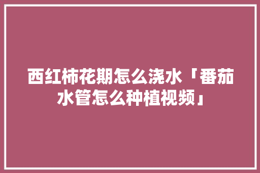 西红柿花期怎么浇水「番茄水管怎么种植视频」 西红柿花期怎么浇水「番茄水管怎么种植视频」 番茄病虫害防治