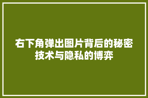 右下角弹出图片背后的秘密技术与隐私的博弈