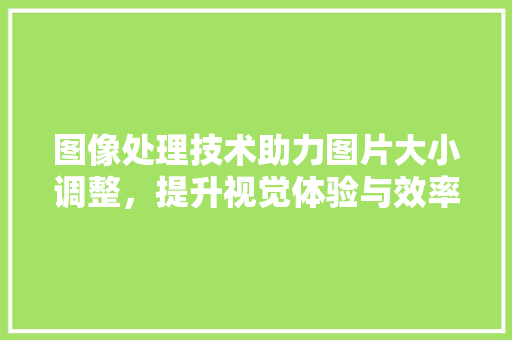 图像处理技术助力图片大小调整，提升视觉体验与效率