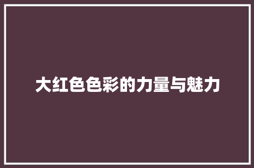 大红色色彩的力量与魅力