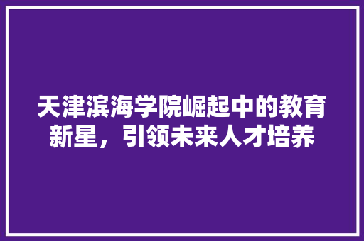 天津滨海学院崛起中的教育新星，引领未来人才培养