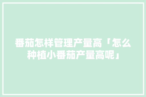 番茄怎样管理产量高「怎么种植小番茄产量高呢」 番茄怎样管理产量高「怎么种植小番茄产量高呢」 农业常识