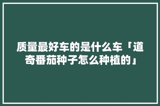 质量最好车的是什么车「道奇番茄种子怎么种植的」 质量最好车的是什么车「道奇番茄种子怎么种植的」 土壤施肥