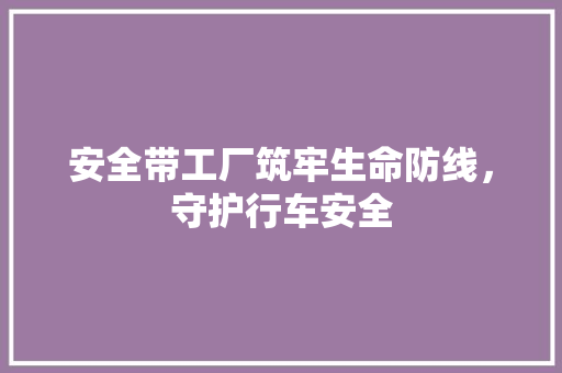 安全带工厂筑牢生命防线，守护行车安全