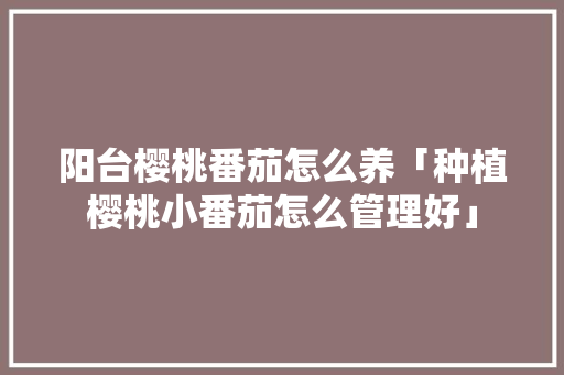 阳台樱桃番茄怎么养「种植樱桃小番茄怎么管理好」 阳台樱桃番茄怎么养「种植樱桃小番茄怎么管理好」 花朵知识