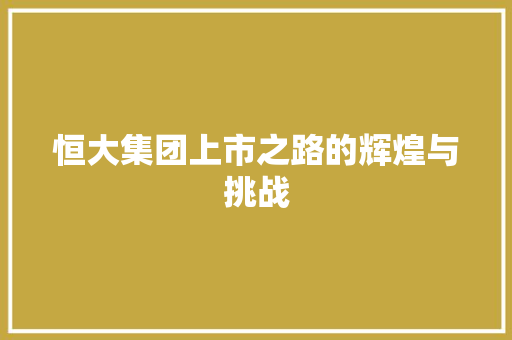 恒大集团上市之路的辉煌与挑战