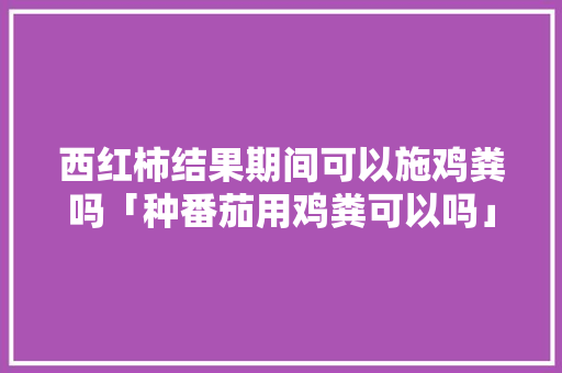 西红柿结果期间可以施鸡粪吗「种番茄用鸡粪可以吗」 西红柿结果期间可以施鸡粪吗「种番茄用鸡粪可以吗」 番茄种植技巧