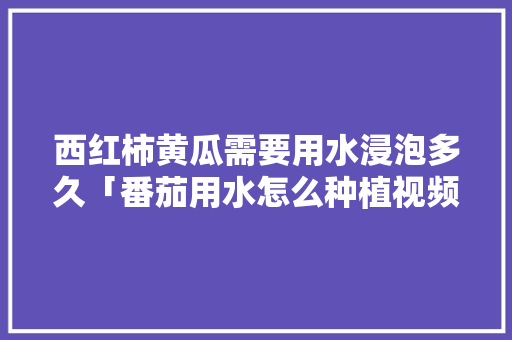 西红柿黄瓜需要用水浸泡多久「番茄用水怎么种植视频」 西红柿黄瓜需要用水浸泡多久「番茄用水怎么种植视频」 土壤施肥