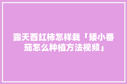 露天西红柿怎样栽「矮小番茄怎么种植方法视频」 露天西红柿怎样栽「矮小番茄怎么种植方法视频」 番茄病虫害防治