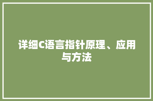 详细C语言指针原理、应用与方法