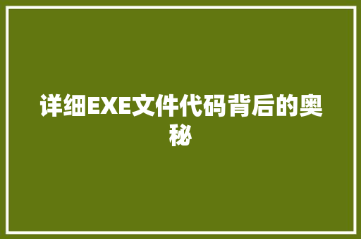 详细EXE文件代码背后的奥秘