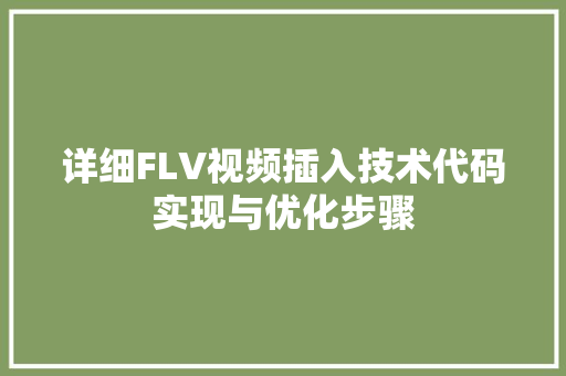 详细FLV视频插入技术代码实现与优化步骤