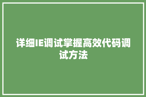 详细IE调试掌握高效代码调试方法