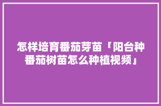 怎样培育番茄芽苗「阳台种番茄树苗怎么种植视频」 怎样培育番茄芽苗「阳台种番茄树苗怎么种植视频」 农业常识