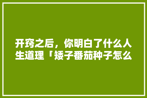 开窍之后，你明白了什么人生道理「矮子番茄种子怎么种植视频」
