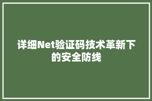 详细Net验证码技术革新下的安全防线