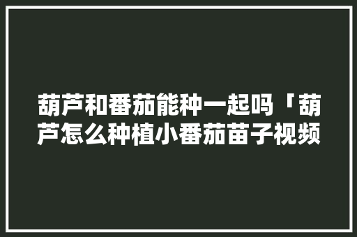 葫芦和番茄能种一起吗「葫芦怎么种植小番茄苗子视频」