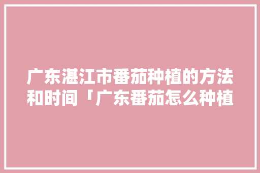 广东湛江市番茄种植的方法和时间「广东番茄怎么种植的」 广东湛江市番茄种植的方法和时间「广东番茄怎么种植的」 农业常识