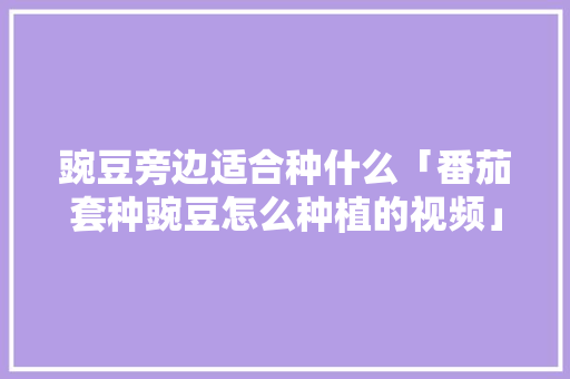 豌豆旁边适合种什么「番茄套种豌豆怎么种植的视频」 豌豆旁边适合种什么「番茄套种豌豆怎么种植的视频」 植物种类